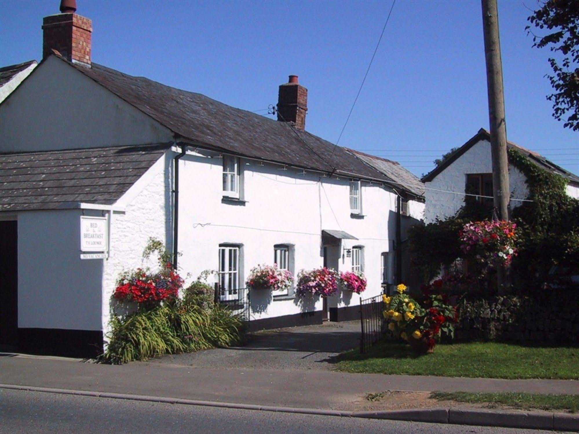 Tregenver Bed And Breakfast Bude Exterior photo