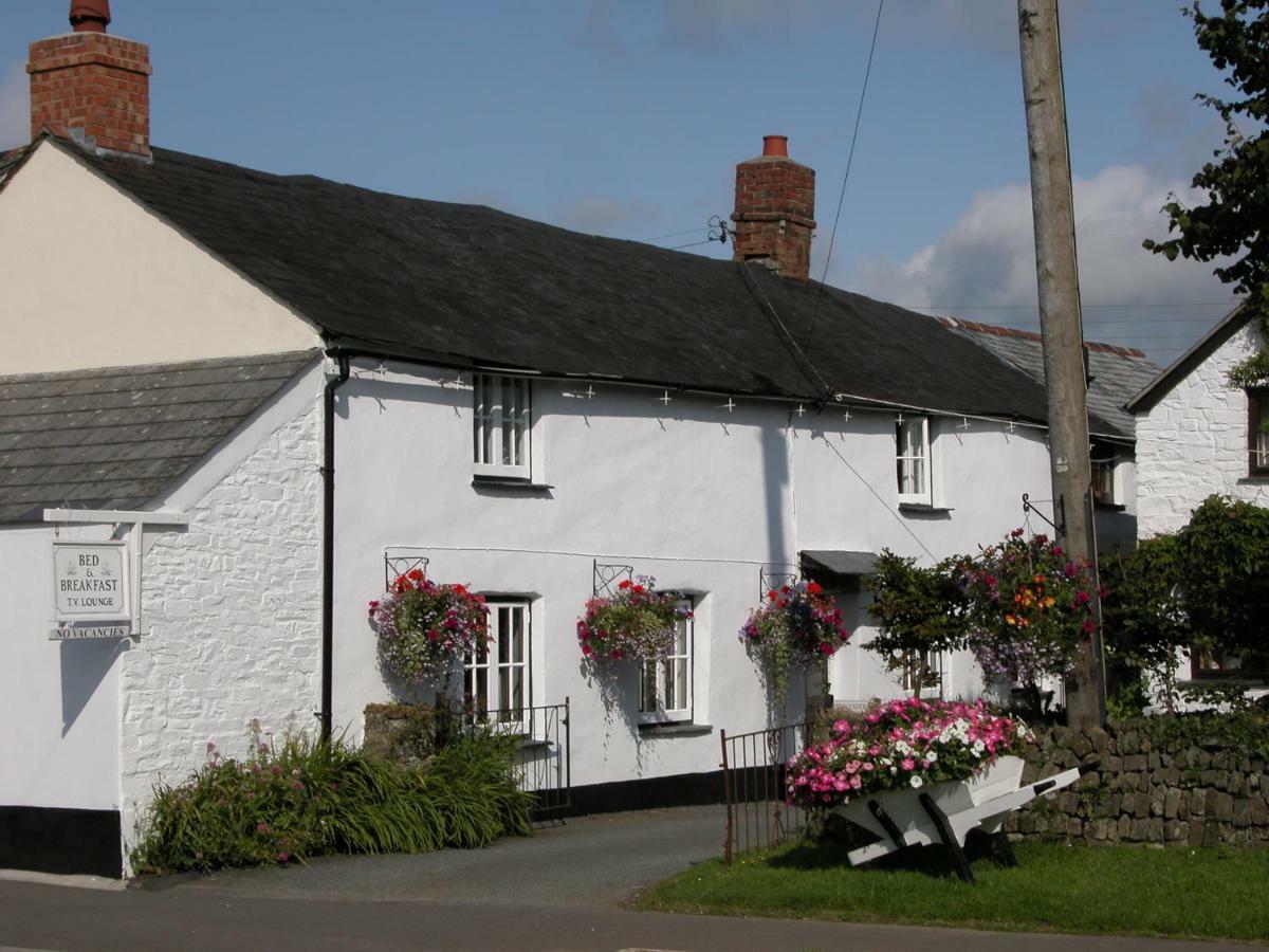 Tregenver Bed And Breakfast Bude Exterior photo